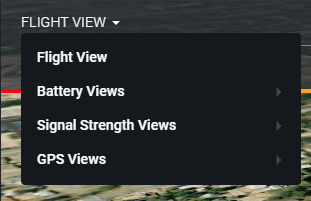 Flight view options