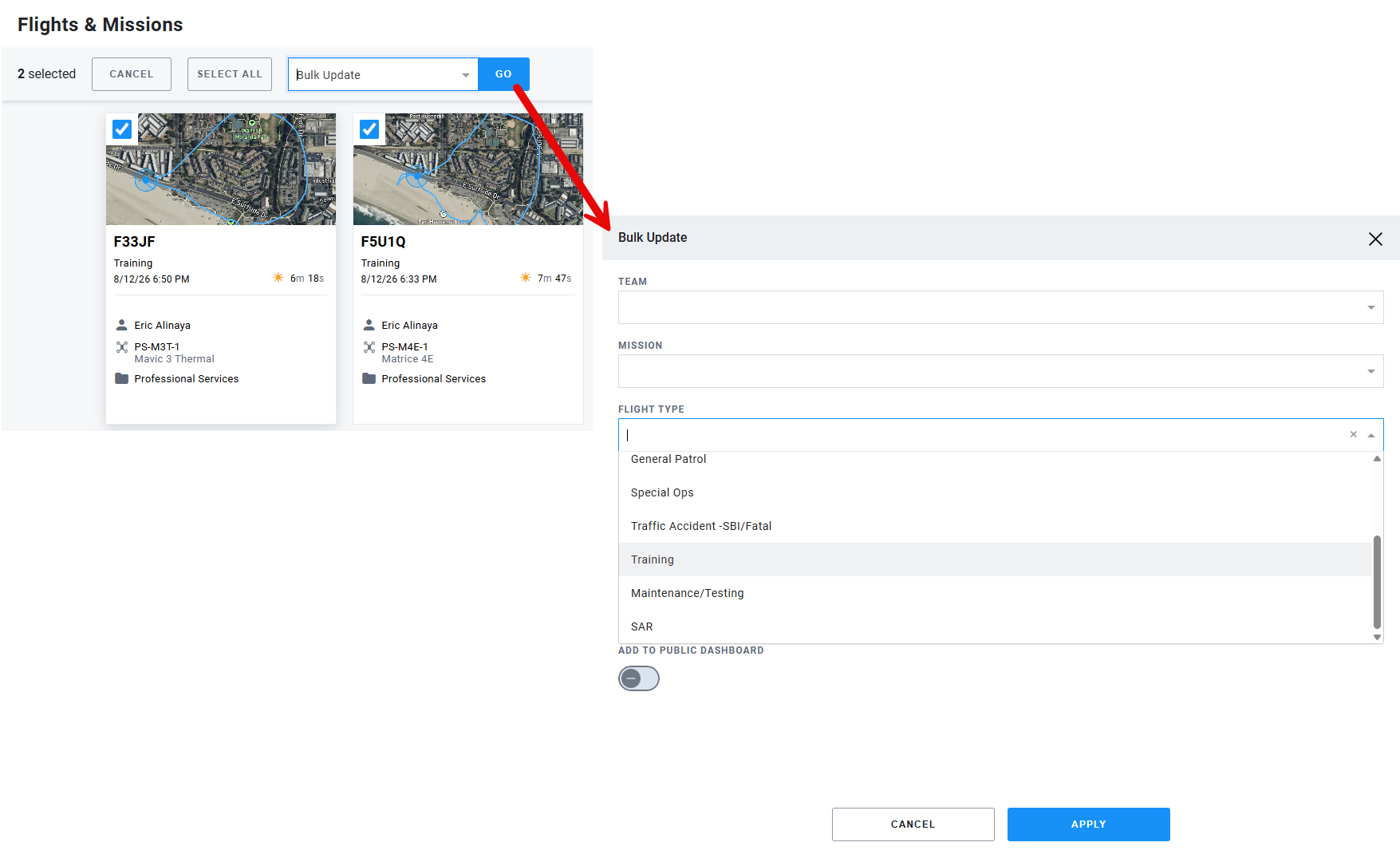 Flights with Bulk Update window